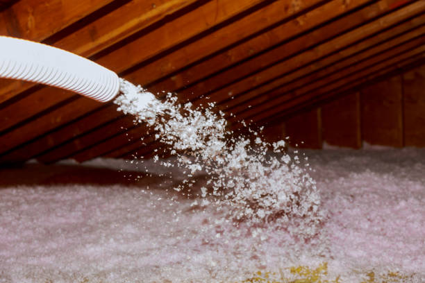 Best Insulation Installation Services in Albert Lea, MN