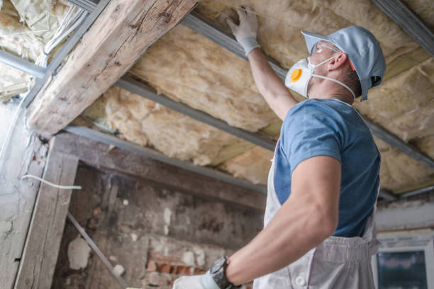 Best Insulation Materials and Products in Albert Lea, MN