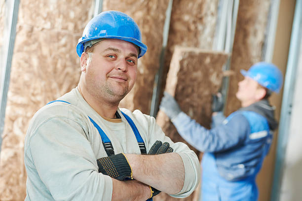 Best Types of Insulation in Albert Lea, MN