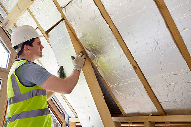 Best Energy Efficiency Solutions in Albert Lea, MN
